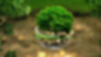 A tree coming out of a broken glass ball , has a garden background behind 